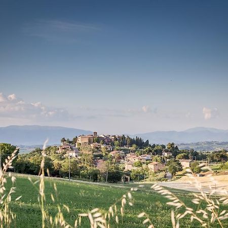 Bed and Breakfast Domus In Castro Montecchio  Exteriér fotografie