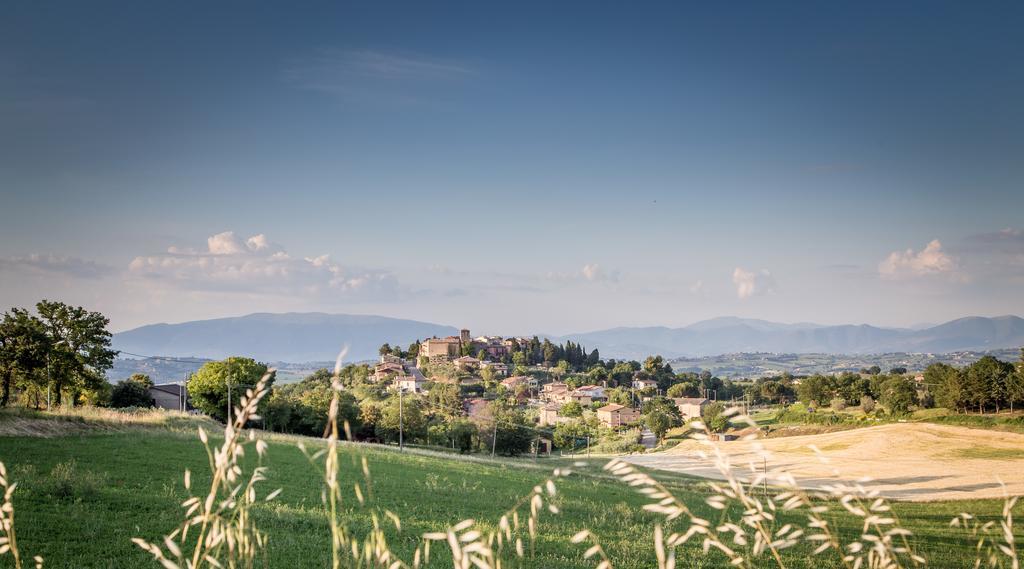 Bed and Breakfast Domus In Castro Montecchio  Exteriér fotografie